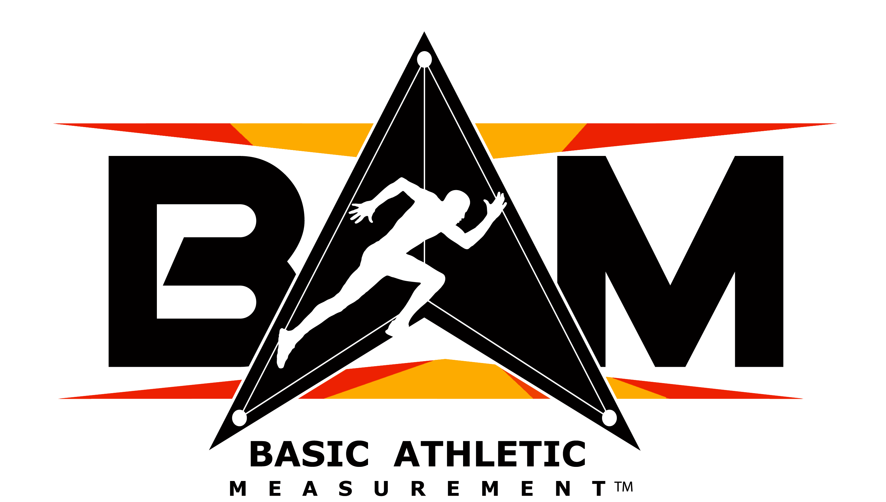 BAM Logo
